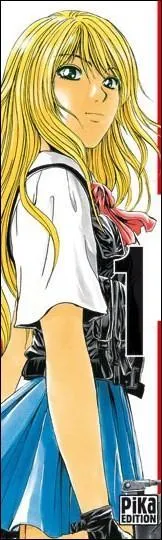 De quel manga s'agit-il ?