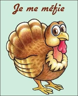 Quel est le cri de la pintade ?