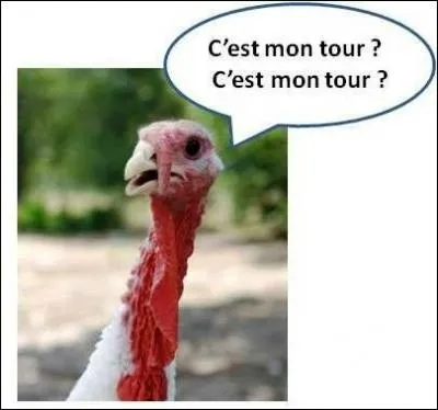 La dindon a un cri caractristique. Que fait-il ?