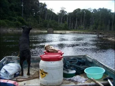 Dans toute la Guyane, ce rcipient est utilis pour conserver nourriture et vtements  l'abri de l'humidit, durant les expditions en fort profonde !