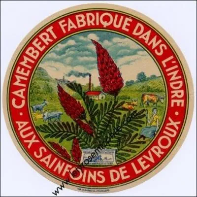 Le Camembert de Levroux est fabriqué dans le département de l'Indre ce dernier fait-il partie de la Champagne...