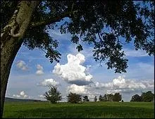 Ce nuage cotonneux de grande extension verticale peut culminer à des altitudes très élevées, entre 8000 et 18000 mètres. Il est précurseur d'orage.