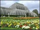 De quelle fleur le Kew Gardens de Londres possde-t-il la plus grande collection ?