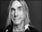 Quel groupe Iggy Pop a-t-il reform pour la tourne 2009  Raw Power  ?