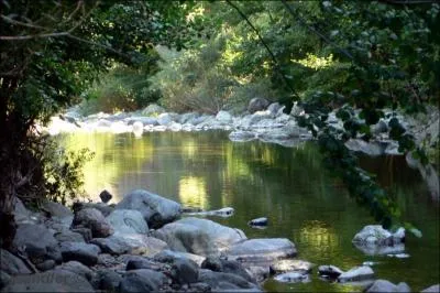 -que l'on verra (... ) dans les (... ) obliques du soleil,