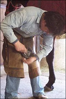 Arts et mtiers - Si les marchaux de France ont d'abord t les palefreniers du Roi, certains se sont spcialiss dans le ferrage des chevaux, ce qui a donn naissance au beau mtier de 