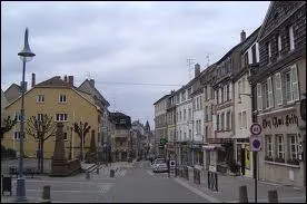 Les habitants de la ville de Sarrebourg portent le gentil ...