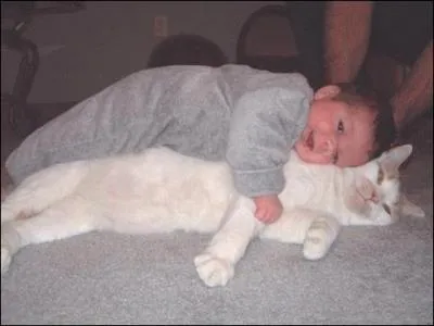 Peut-on laisser un petit enfant seul avec un chat ?