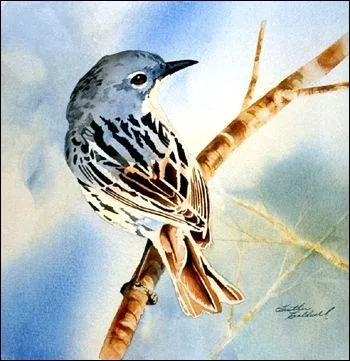 Elle zinzinule. Son chant est clair et flt.