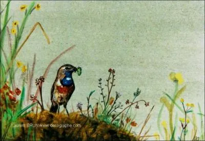 Il est revenu d'Afrique, le gnial imitateur vritable fe des roselires. Son miroir brille au soleil d'un clat si dense.