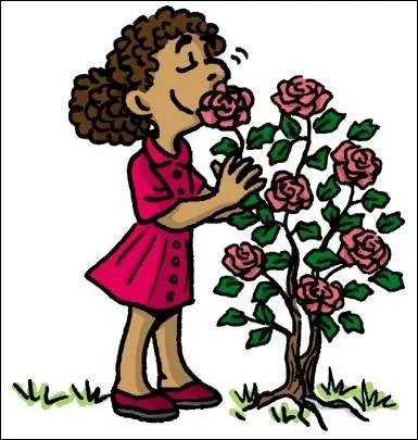 A quel groupe appartiennent les verbes venir - partir - sentir ?