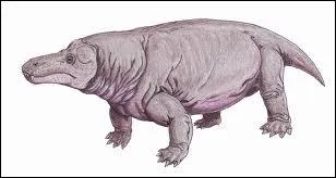 Cet herbivore gant s'est teint il y a 260. 4 millions d'annes. Comment se nommait-il ?