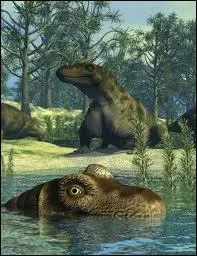 Une autre tte gonfle, c'est un gros balse mais il s'appelle :