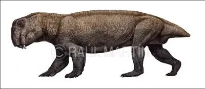 Son nom signifie ''lzard-pelle'', on sait tous qui il est, voici... (suspense)