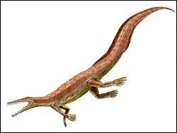 Ce drle de reptile marin, dont le nom signifie ''reptile du milieu'' a un nom. (enfin j'imagine) Ce nom est :