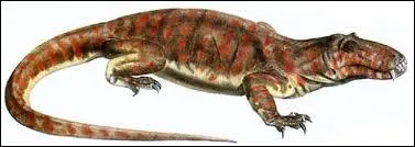 Un facile maintenant, le crocodile titan !