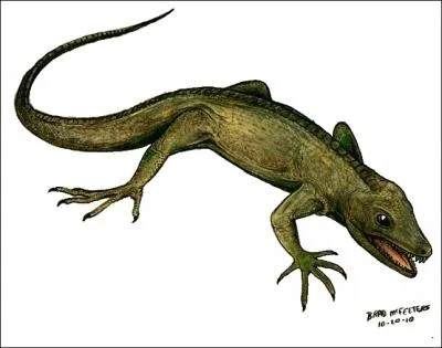 Un petit lzard tout mignon pour la dernire question ! Le dbut de son nom signifie ''jeune'' en anglais.