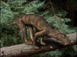 Cette fois, pas de pige ! Vous allez le reconnatre j'en suis sr !