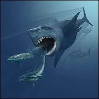 Quel animal disparu faisait 15m de long et pouvait manger un humain en une ou deux bouches ?