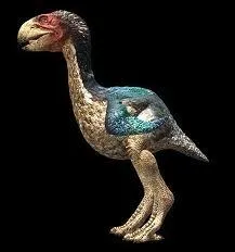 Aprs quelle grande catastrophe est apparu le gastornis ?