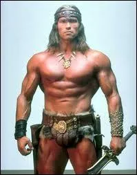 Bon, c'est quand mme un genre de maillot de bain, mme si la quincaillerie qu'il porte va le faire couler, probable. Qui est ce hros ?