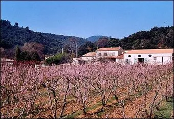 - (... ) très lentement vers les neiges. "