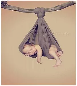 Un repos mrit aprs une entre dans la vie, mouvemente. Le bercement du ( ... ) prolonge la douceur de la vie utrine.