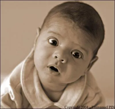 Mais c'est bien trop joli. Je les trouve si lgants. Quand cela sera-t-il mon tour ? Je regarde le monde avec curiosit et tout me (... ).