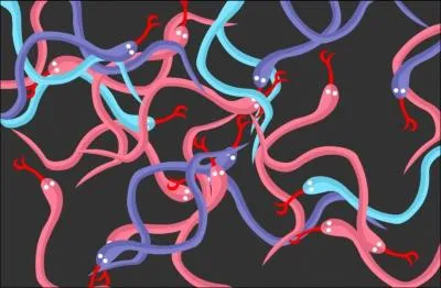 Combien de serpents estimez-vous qu'il y a sur cette image ?