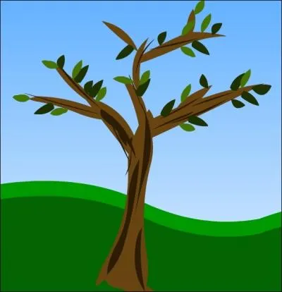 Combien cet arbre compte-t-il de feuilles,  votre avis ?