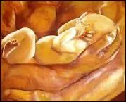 Je m'(... ), je m'illumine/Me (... )  franchir