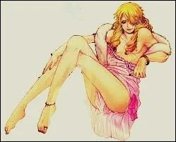 Question facile : quel membre de l'quipage au chapeau de paille a eu la  chance  d'atterrir sur cette le ?