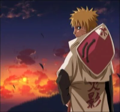 Que signifie, littralement, Hokage ?