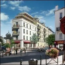 Comment se nomment les rsidents de la ville du Perreux-sur-Marne ?