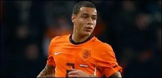 Qui est ce joueur hollandais ?