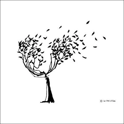 Dans quel film peut-on voir un jeune homme condamn  trouver le vritable amour s'il ne veut devenir laid suite  la maldiction d'une sorcire ?