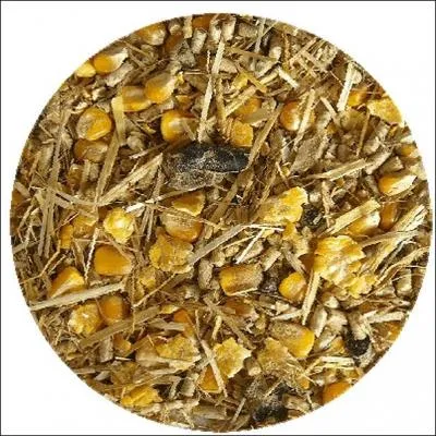 Lequel n'est pas un aliment grossier ?