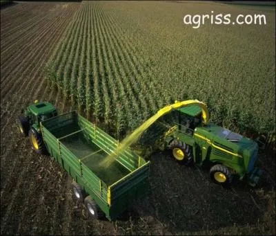 Lequel de ces fourrages ne s'ensile pas ?