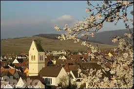Terminons cette premire partie par la commune de Mittelwihr. Quel est le nom de ses habitants ?