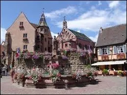 Je vais ensuite  Eguisheim. Quel est le nom des habitants de cette commune Haut-Rhinoise ?