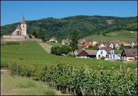 Je vais visiter le village d'Hunawihr, class  plus beau village de France . Comment se nomment ses habitants ?