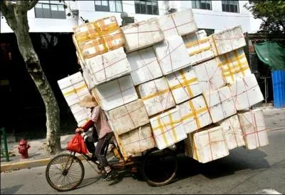 Ah, mais le monsieur est bien charg, dis donc ! De quelle couleur est la tle du ct droit de l'image ? Elle est ...