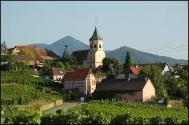Nous quittons l'Alsace et le Haut-Rhin par le village de Zellenberg. Quel est le nom de ses habitants ?