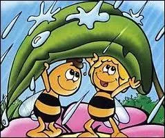 Abeille au milieu de ses amis (Willy l'abeille, Flip la sauterelle) et d'autres invertbrs (fourmis levant des pucerons, araigne, bousiers, )