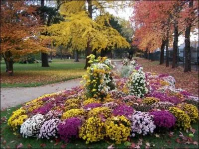 - ne sens-tu pas cette odeur de terre, de fumée, de feuilles de noyer, de ----- et de fumée ?