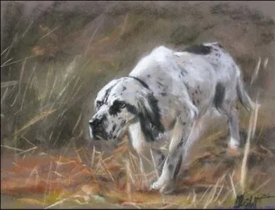 Tu flaires comme un chien novice, tu -----