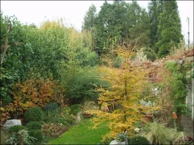 L'odeur amère d'un jardin de novembre, le saisissant silence ----- des bois