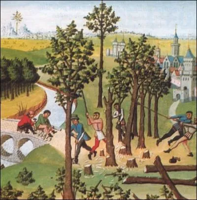 - d'où se sont ----- le bûcheron et la -----, la route ---- détrempée