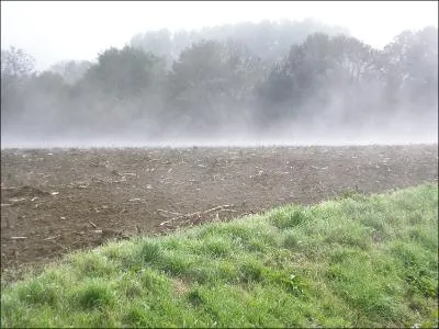 ---- roule ---- une vague de brouillard, tout cela est à nous jusqu'au soir.