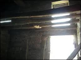 ---- avec moi la poussière flottante de vieux foin, encore embaumée, ---- comme un tabac fin.